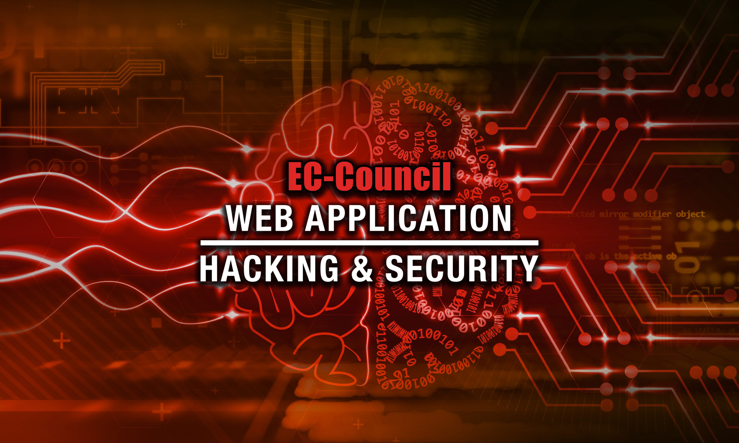 Ethical Hacking